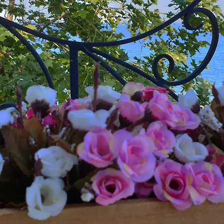 майстор костадин - 1878 Guest house 3*