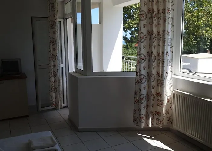 майстор костадин - 1878