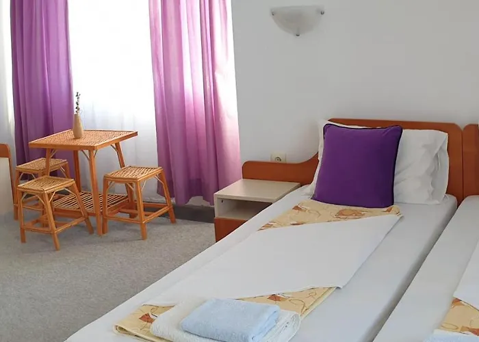 майстор костадин - 1878 Obzor