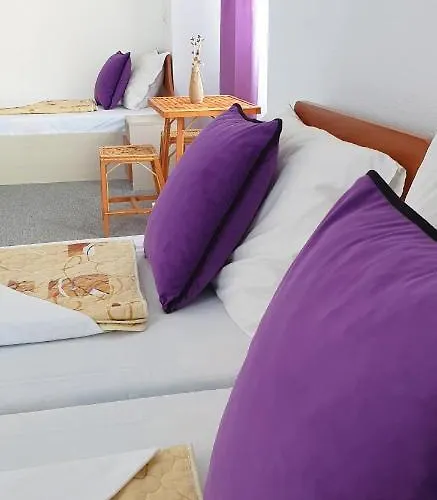 майстор костадин - 1878 Obzor