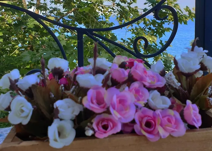 майстор костадин - 1878 Guest house 3*