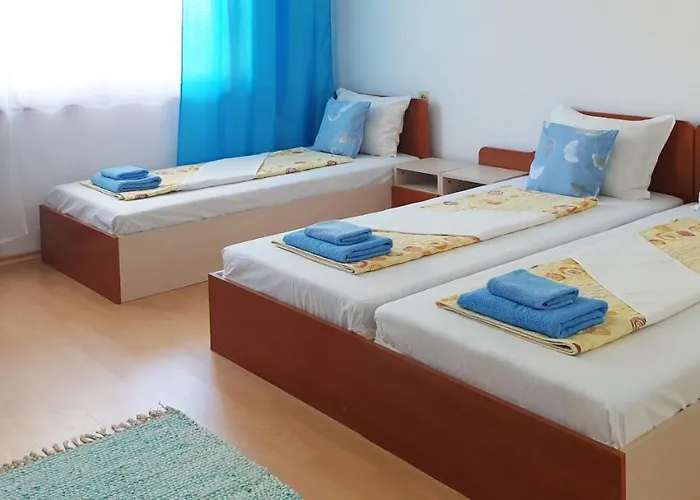 майстор костадин - 1878